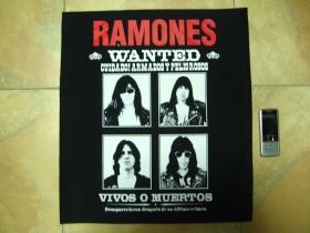 Ramones, chrbtová nášivka